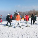 설마