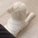 형규목장 | vacation