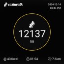 퐁포네뜨 - 10005 | 퐁포네뜨