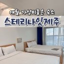 스테리나잇제주 | 제주 애월카페거리 펜션 스테리나잇 오션뷰숙소