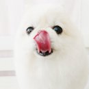 소답동237 이미지