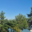 흥해루 | 🏖 고흥 비치힐 펜션에서 시작된 3시간 대장정,