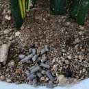 풍년농자재백화점 이미지