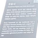 향기로운 차생활 | 제주추사관&amp; 서귀포 김정희 유배지(추사 김정희가 유배생활을 하던 곳)