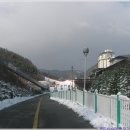 엘리시안강촌 이미지