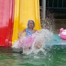 두메관광농원 이미지