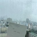 대창슈퍼마켓 | [5박 6일] 2일차 도쿄에서 디지털노마드 생활하기 (시모키타자와 빈티지 가게 구경하기)