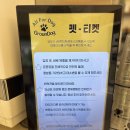 그라운독 | 남양주애견운동장 애견카페 수영장 그라운독 내돈내산후기