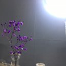 안개프리저브드3일차