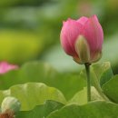 창조 행정사 사무소 이미지