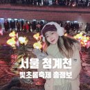 아트밸리 주말공연/ 더해프닝쇼My Dream | 청계천 빛초롱축제 기간 연장 ? 예약기간 잉어킹 위치