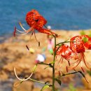 재미있게 이미지