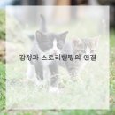 드로잉 표현 기법 이미지