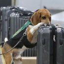 모텔돼지꿈 | 김과자 오랜만에 베트남 출장