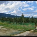 들가운데농장 이미지