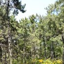 굿거리공원 이미지