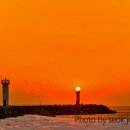 공현진항 이미지