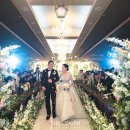 베뉴비안 이미지