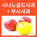 한우리영농법인 | 시나 노골드사과 부사 사과 오늘은 사과 먹는 날