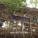 수요기획
