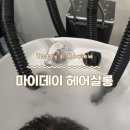 소리헤어 - 양주시 옥정동로9길 106 | 다산 미용실 '마이데이 헤어살롱' 소리 부원장님 두피스켈링(헤드스파) 후기