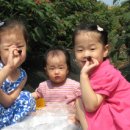 양기농장 이미지