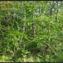 월영동108 이미지