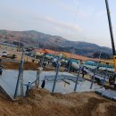 은하양돈 이미지