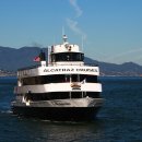 자이 자동차세상 이미지