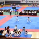 영도체육관(태권도) 이미지