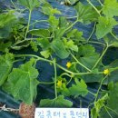 김종태농장 이미지