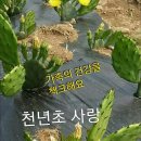 순화궁로 네이버블로그