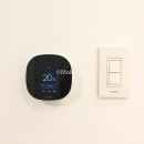 네스트(NEST) 티스토리