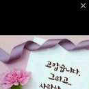 숲섬이라면