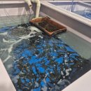 다올수산 이미지