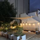 미도호스텔 | 여자혼자 다녀온 제주 서귀포 게스트하우스 미도호스텔 할인 예약