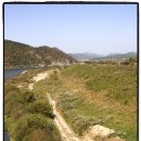 나루터 회관 이미지