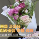 내가꽃이다 | 봄을 사 오는 곳, 인천 서구 꽃집 청라꽃 '부들' 후기