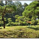 택수목장 이미지