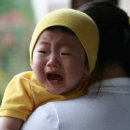 베이비쿠키스튜디오 Daum카페