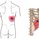 비와이짐 이미지