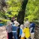 참자연 어린이집 이미지