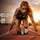웰디렉터