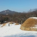 분두골 이미지