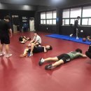 맥스체대입시학원 이미지