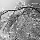 집단시설지구 이미지