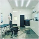 복돌이애견 이미지