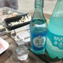 순천만하루애