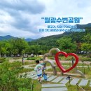 대구 피크닉 장소로 좋은 월광수변공원