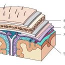 마리아성모요양병원 이미지